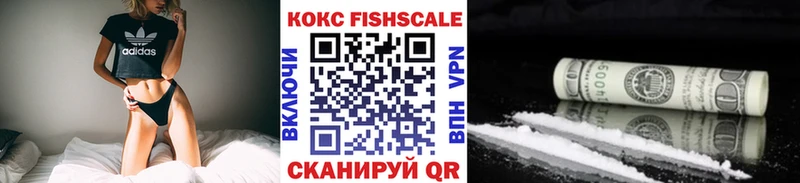 Купить  Кувшиново  COCAIN Fish Scale 