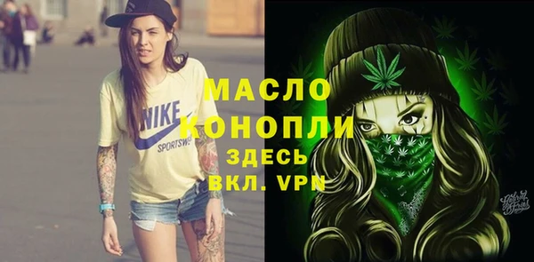 эйфоретик Каменка