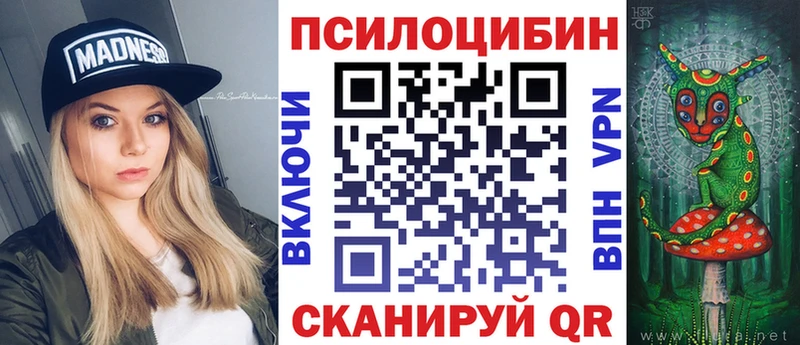 Купить  Кувшиново  Галлюциногенные грибы Psilocybine cubensis 