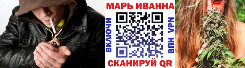 Купить где  Кувшиново  Каннабис ГИДРОПОН 